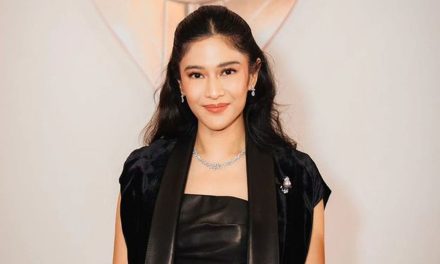 Mengenal Sosok Cantik Dan Juga Inspiratif, Dian Sastrowardoyo